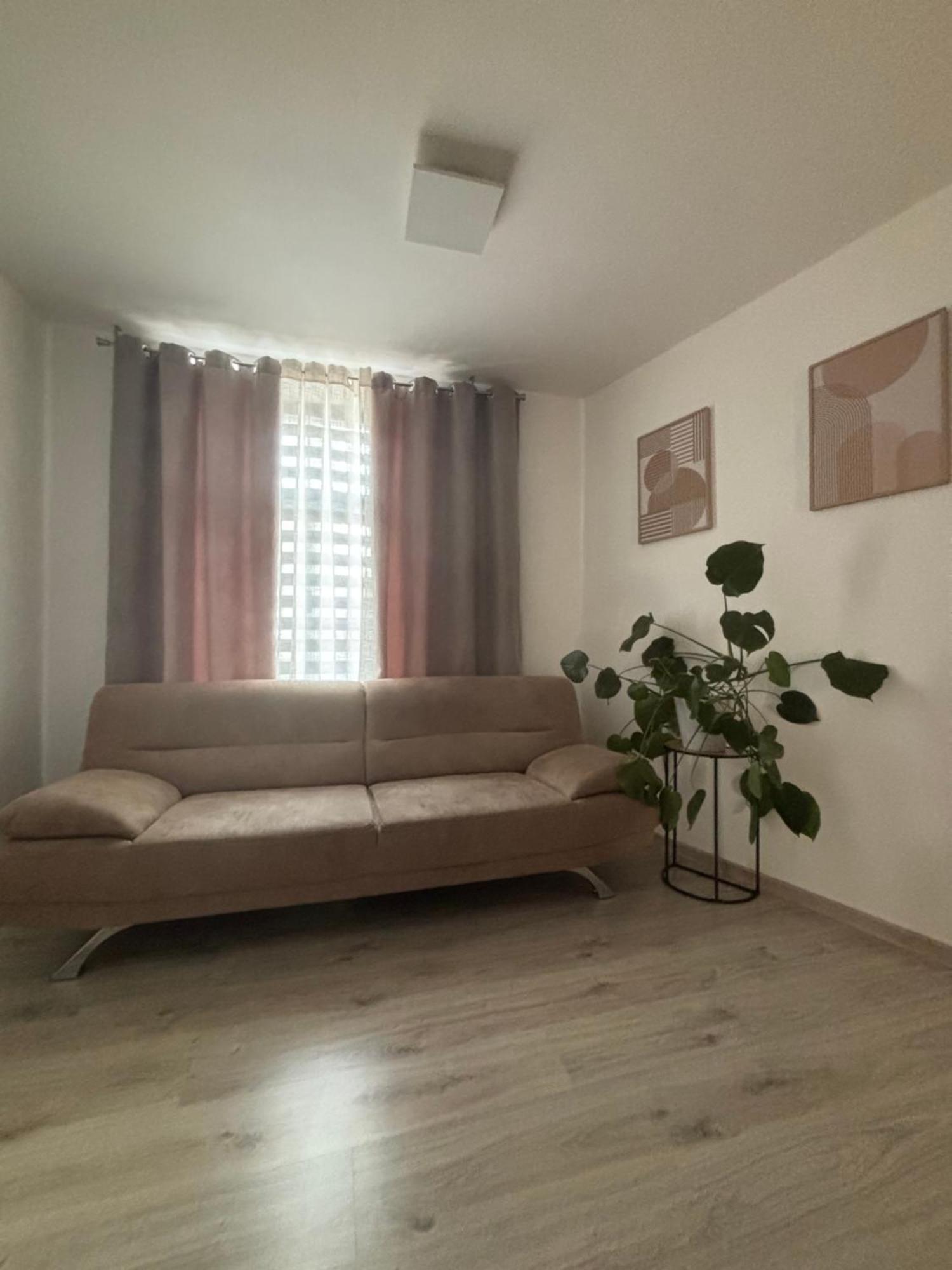 Penzion U Radnice , Byt 5 زنويمو المظهر الخارجي الصورة
